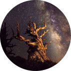 Home | Bear Building Services Imran